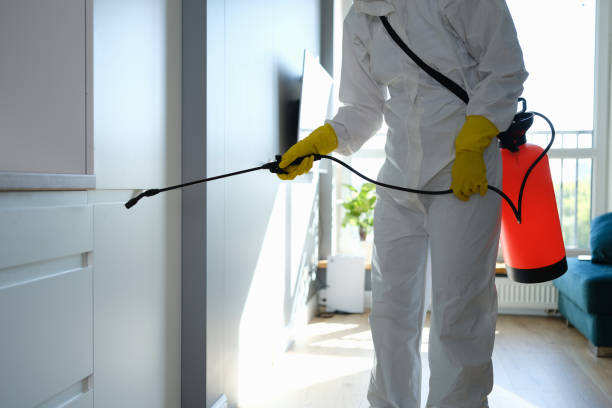 Best Residential Mold Removal  in Rutherfordton, NC