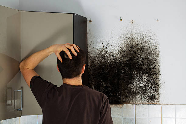 Best Crawl Space Mold Removal  in Rutherfordton, NC